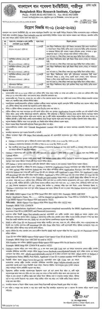 Bangladesh Rice Research Institute Job Circular 2025